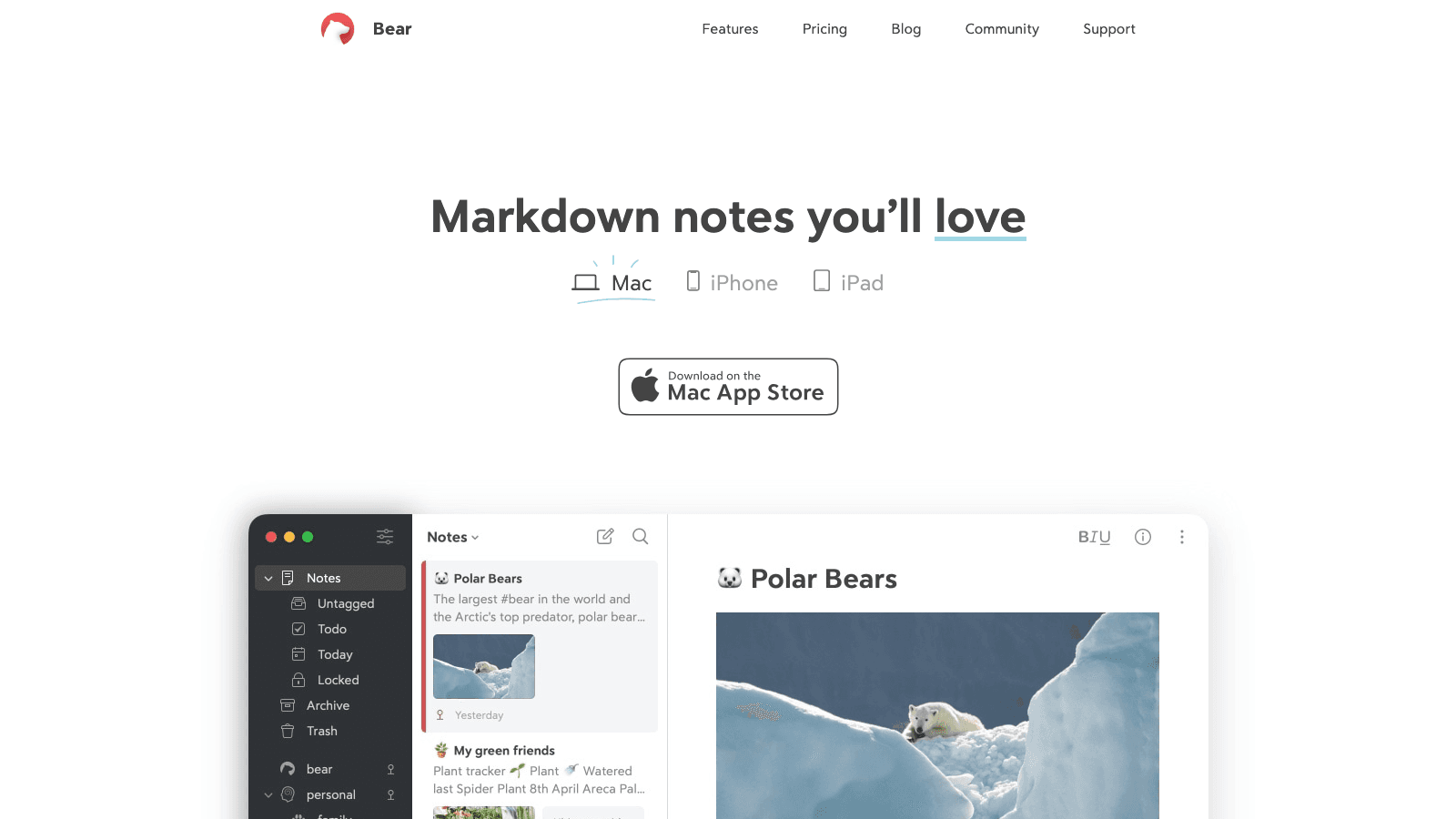 Bear - Write naturally