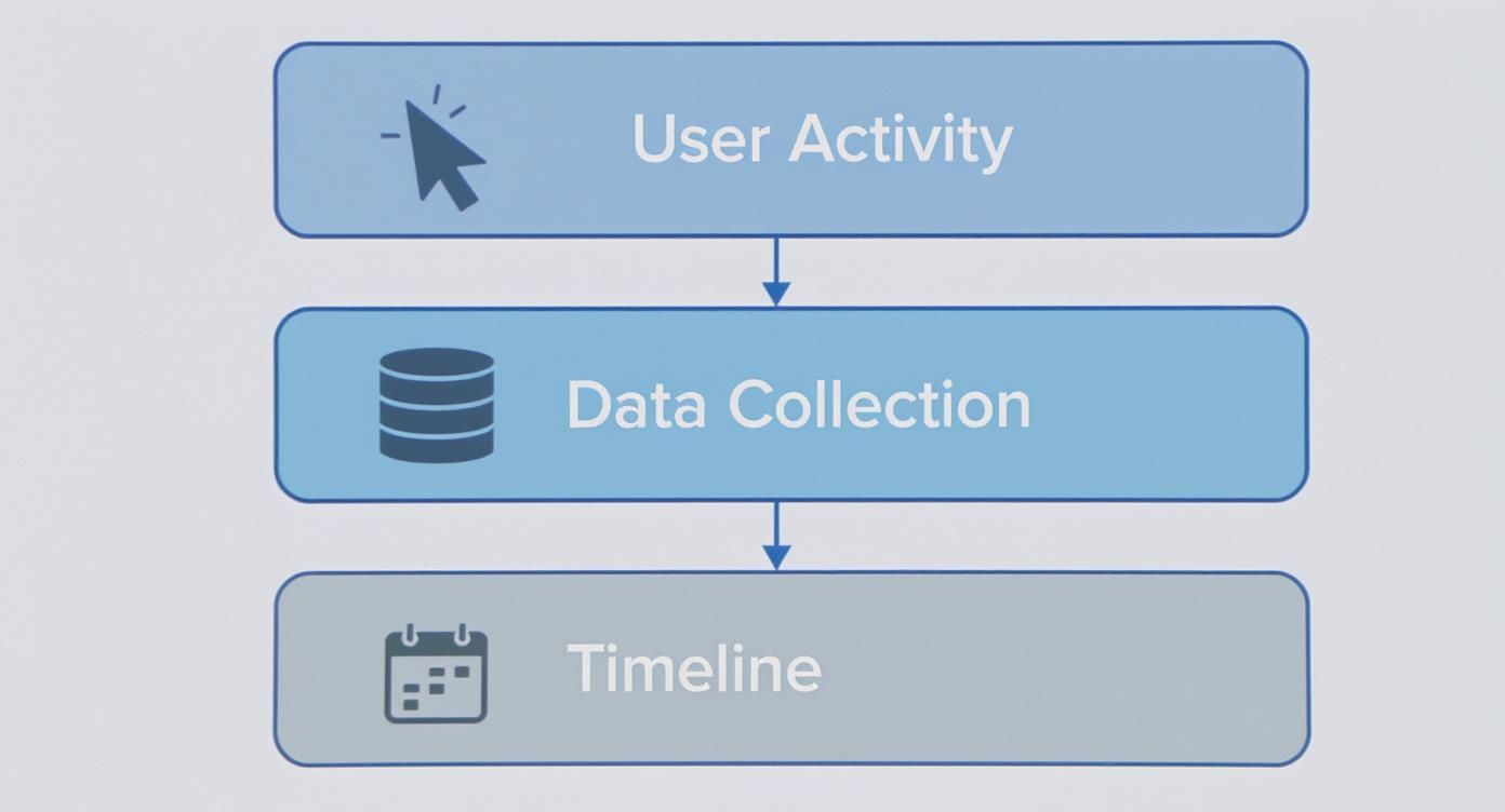 Flowchart showing user activity, data collection, and timeline steps for process tracking.